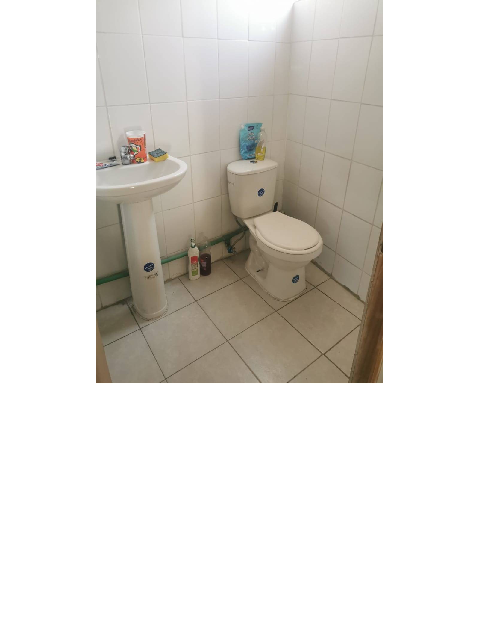 Baño habilitado con lavamanos de pedestal e inodoro blanco