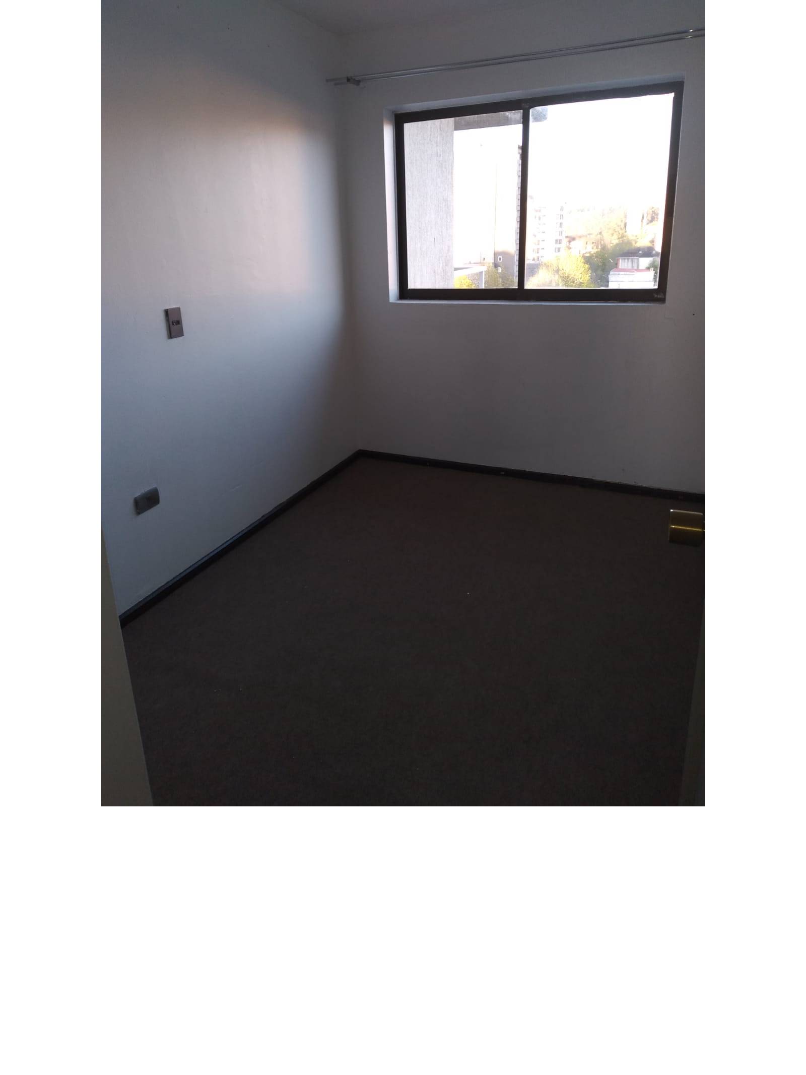 Dormitorio vacío alfombrado con ventana iluminada