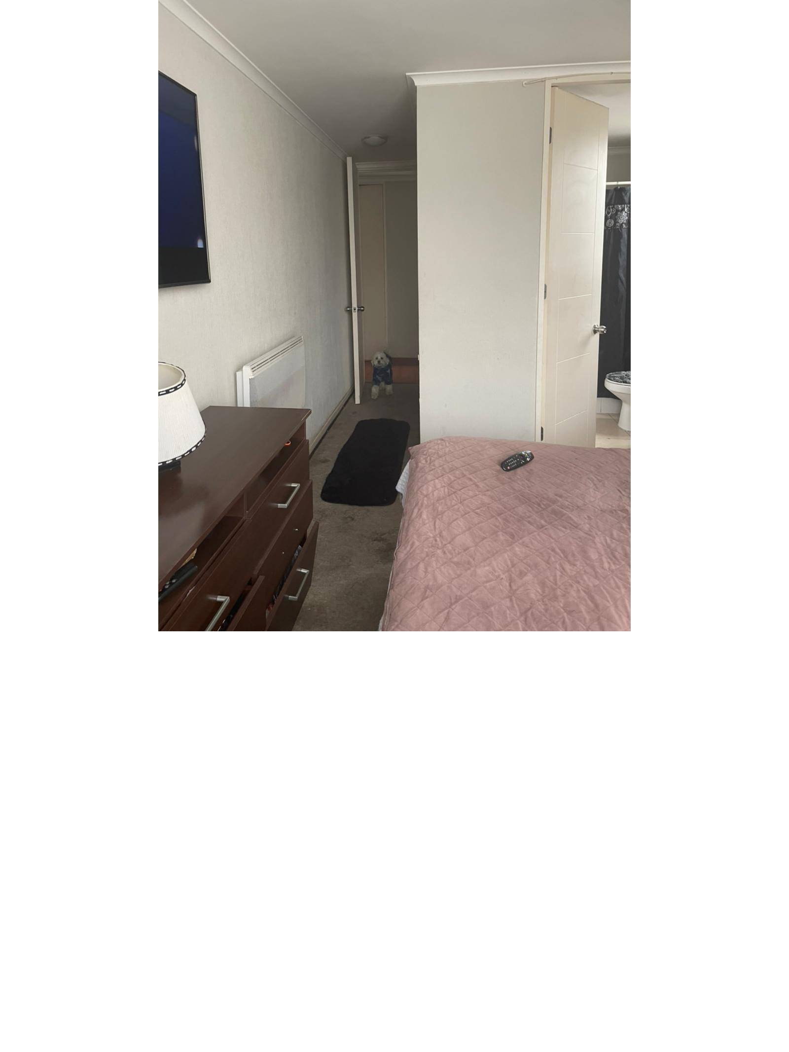 Vista desde dormitorio hacia pasillo interior y baño