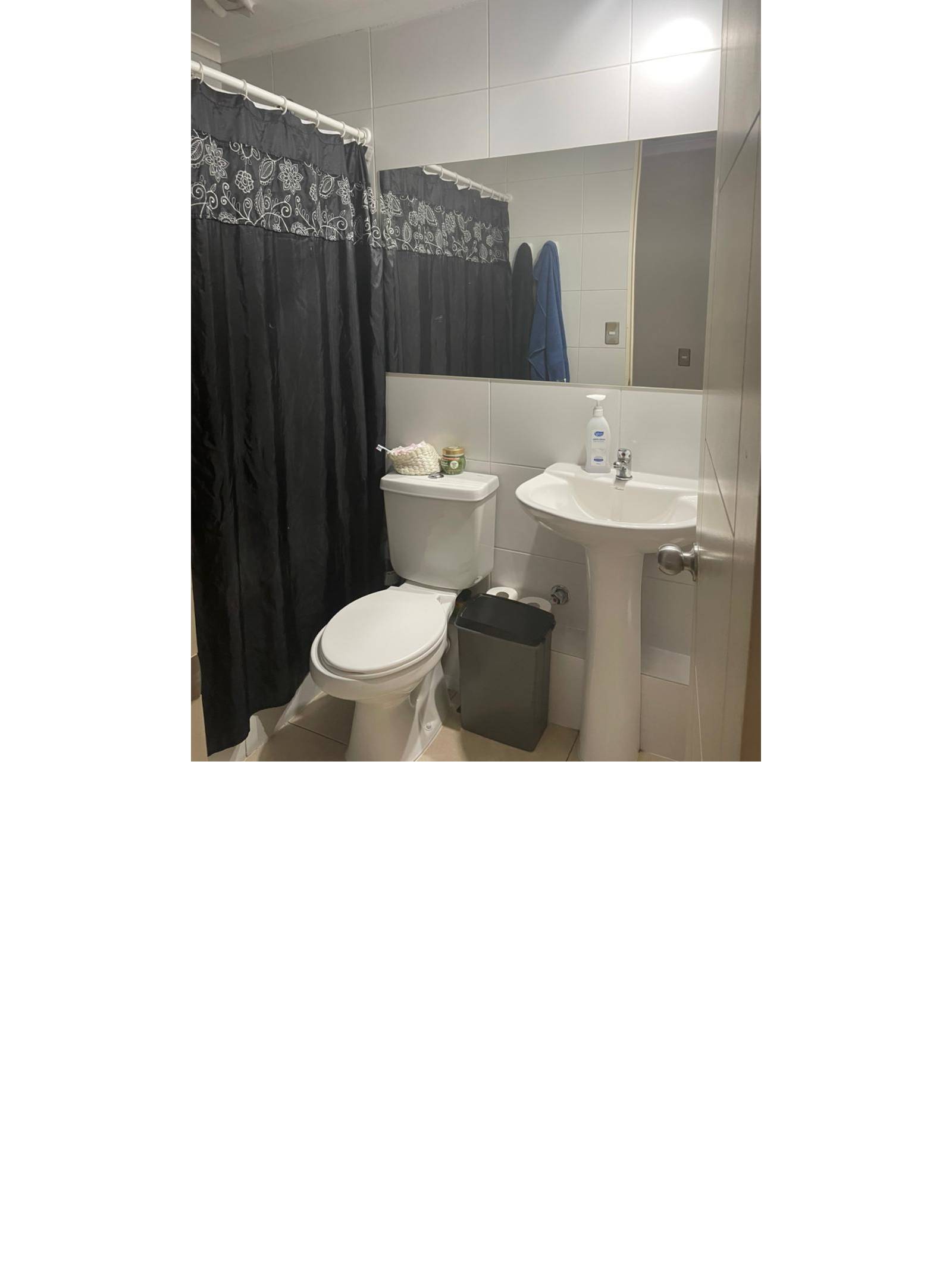 Segundo baño con lavamanos de pedestal e inodoro