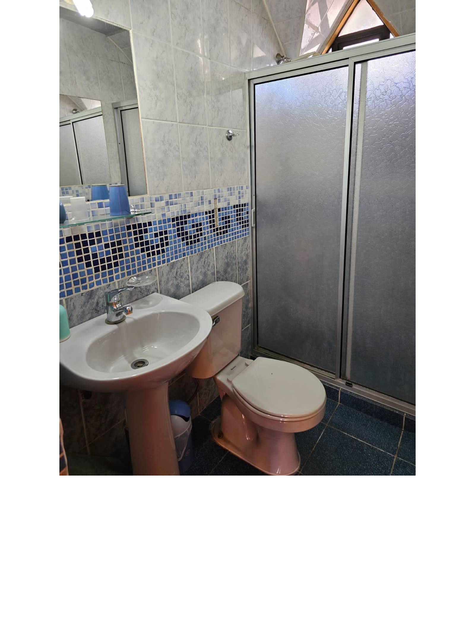 Baño con lavamanos de pedestal, inodoro y cabina de ducha.