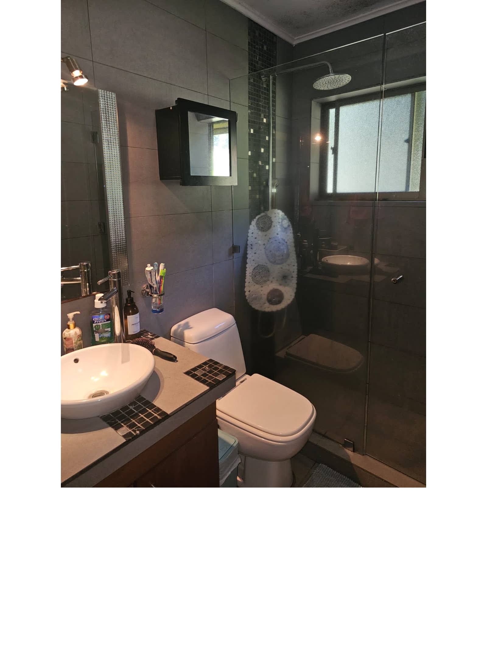 Baño con shower door de cristal y revestimiento oscuro.