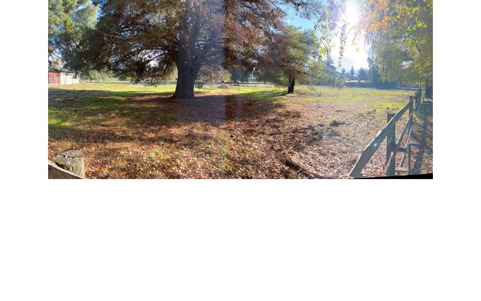 Gran árbol y terreno amplio con cerco de madera.