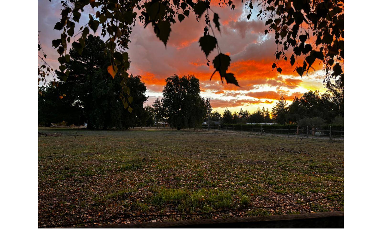 Atardecer despejado con cielo anaranjado sobre el campo.