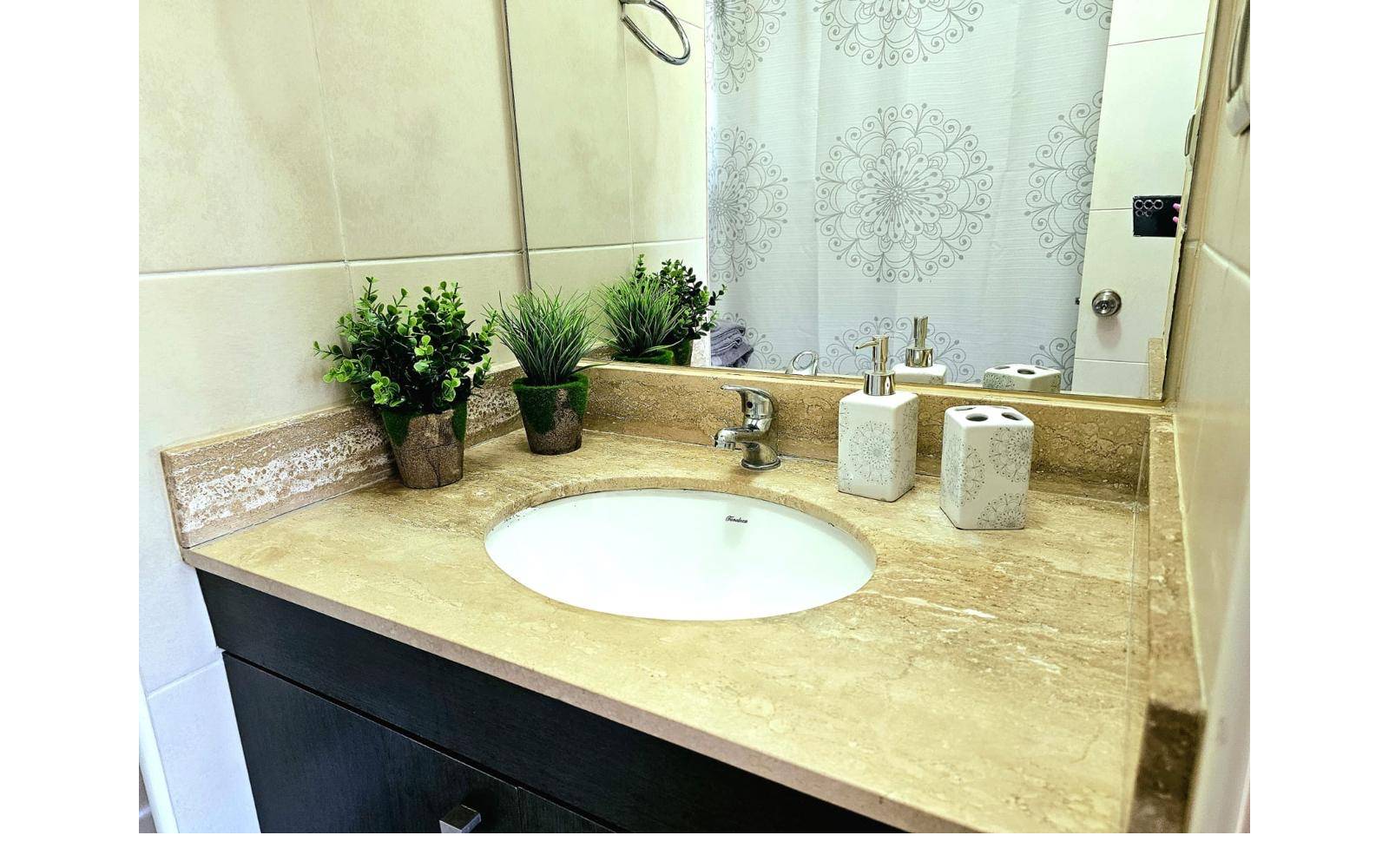 Vanitorio con lavamanos empotrado y plantas decorativas sobre cubierta.