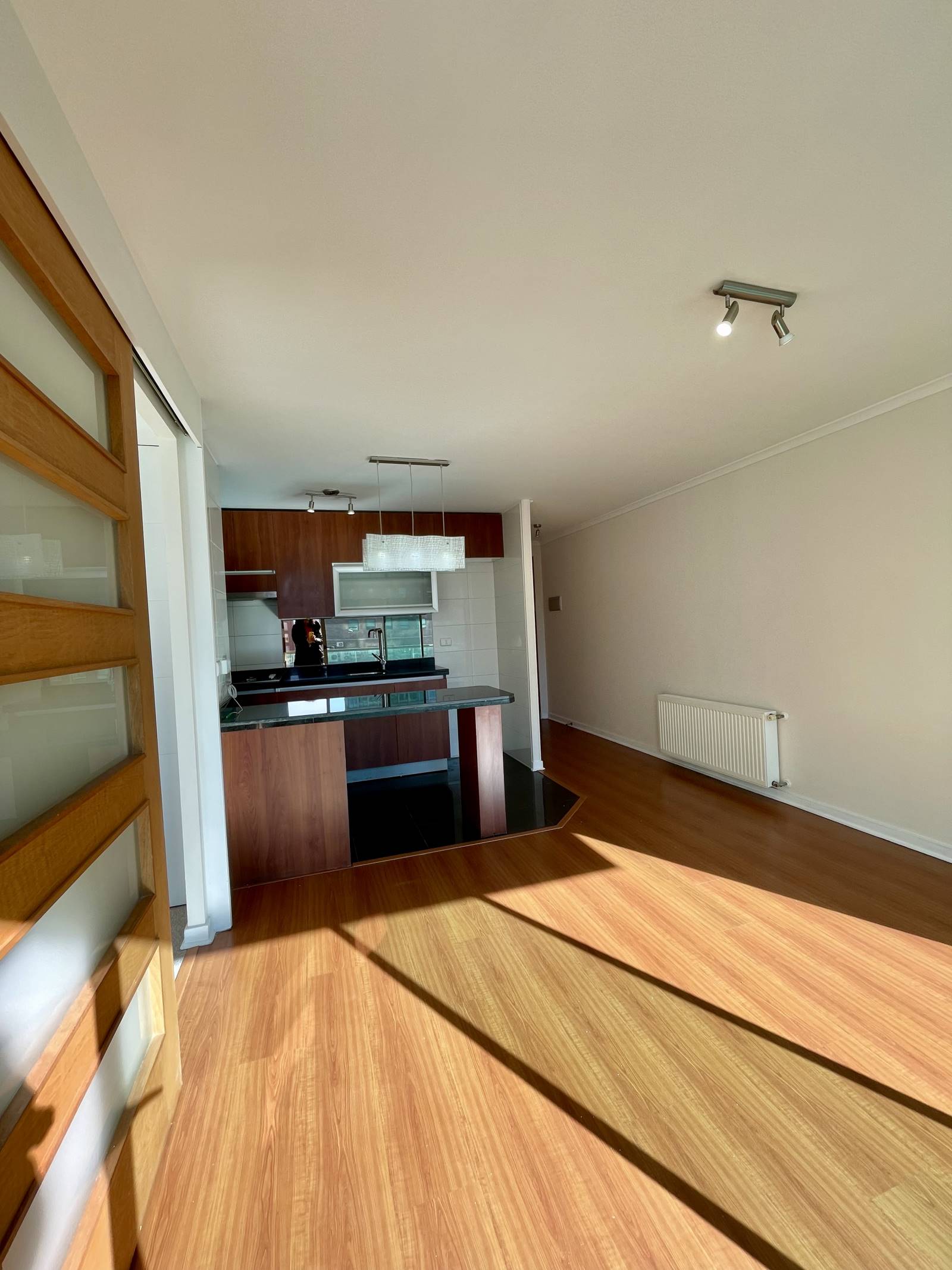 Living comedor con cocina abierta y piso de madera