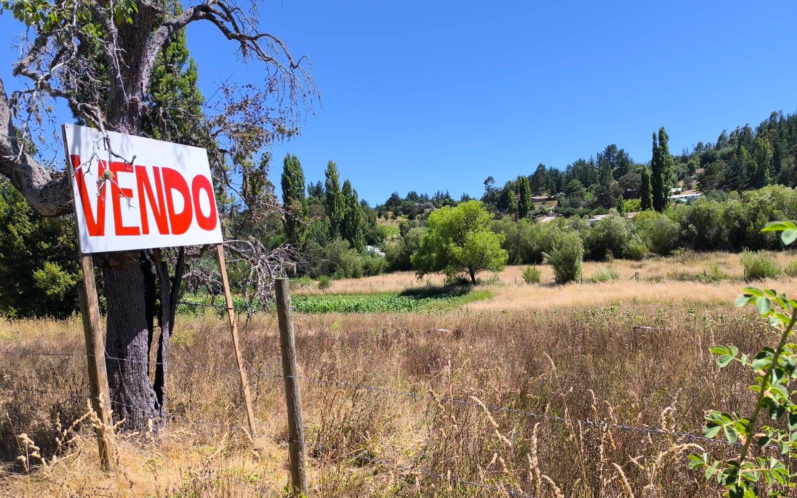 Letrero de venta en árbol frente a terreno campestre y vegetación.