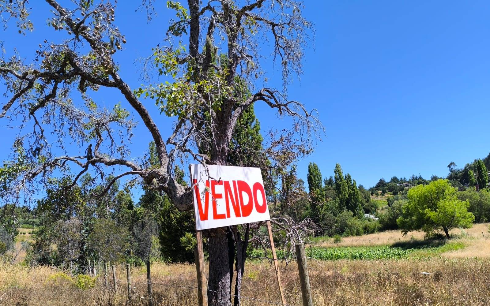 Cartel que anuncia vendo apoyado sobre tronco de árbol rústico.