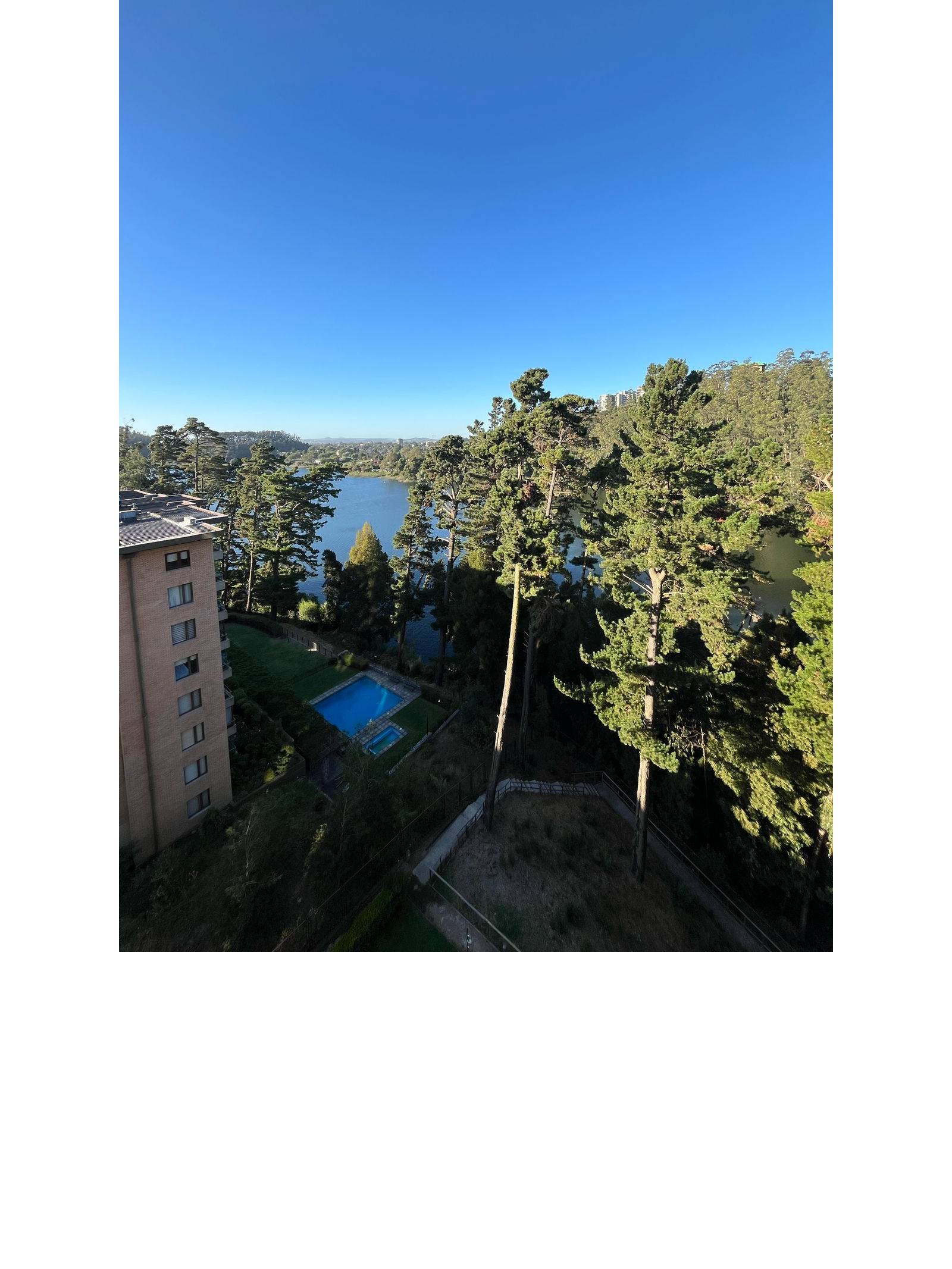 Vista panorámica a la laguna rodeada de bosque y piscina exterior.
