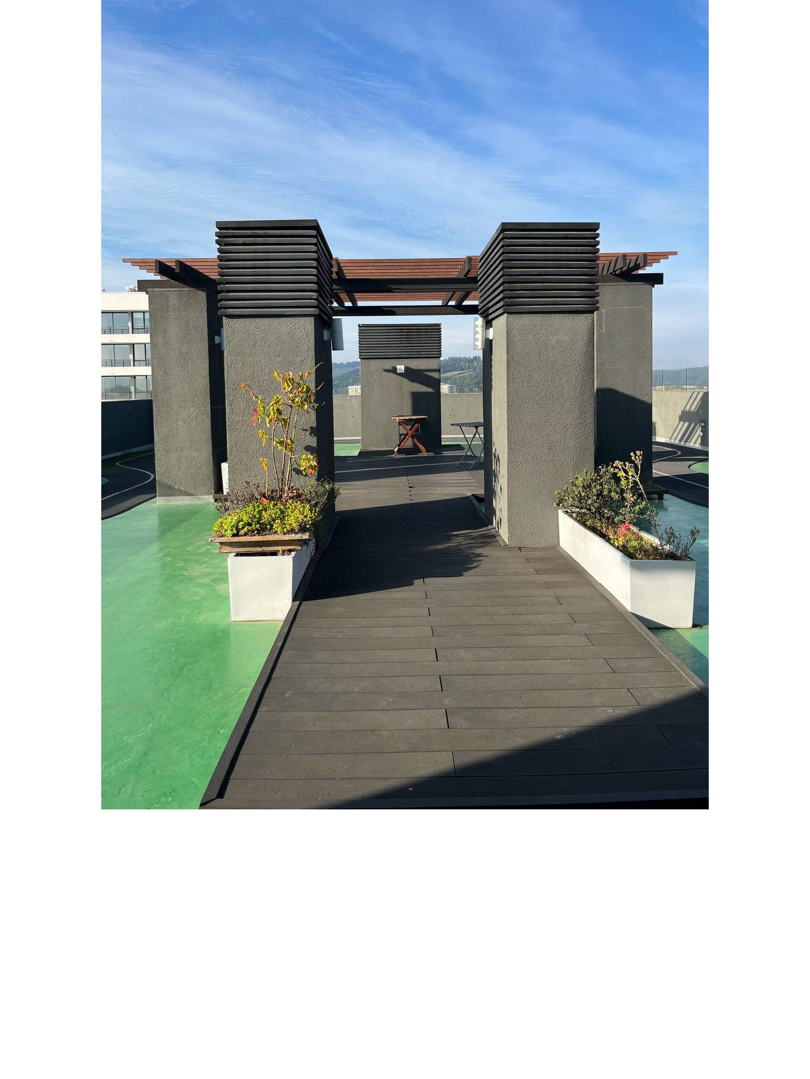 Terraza común en azotea con pérgola y jardineras