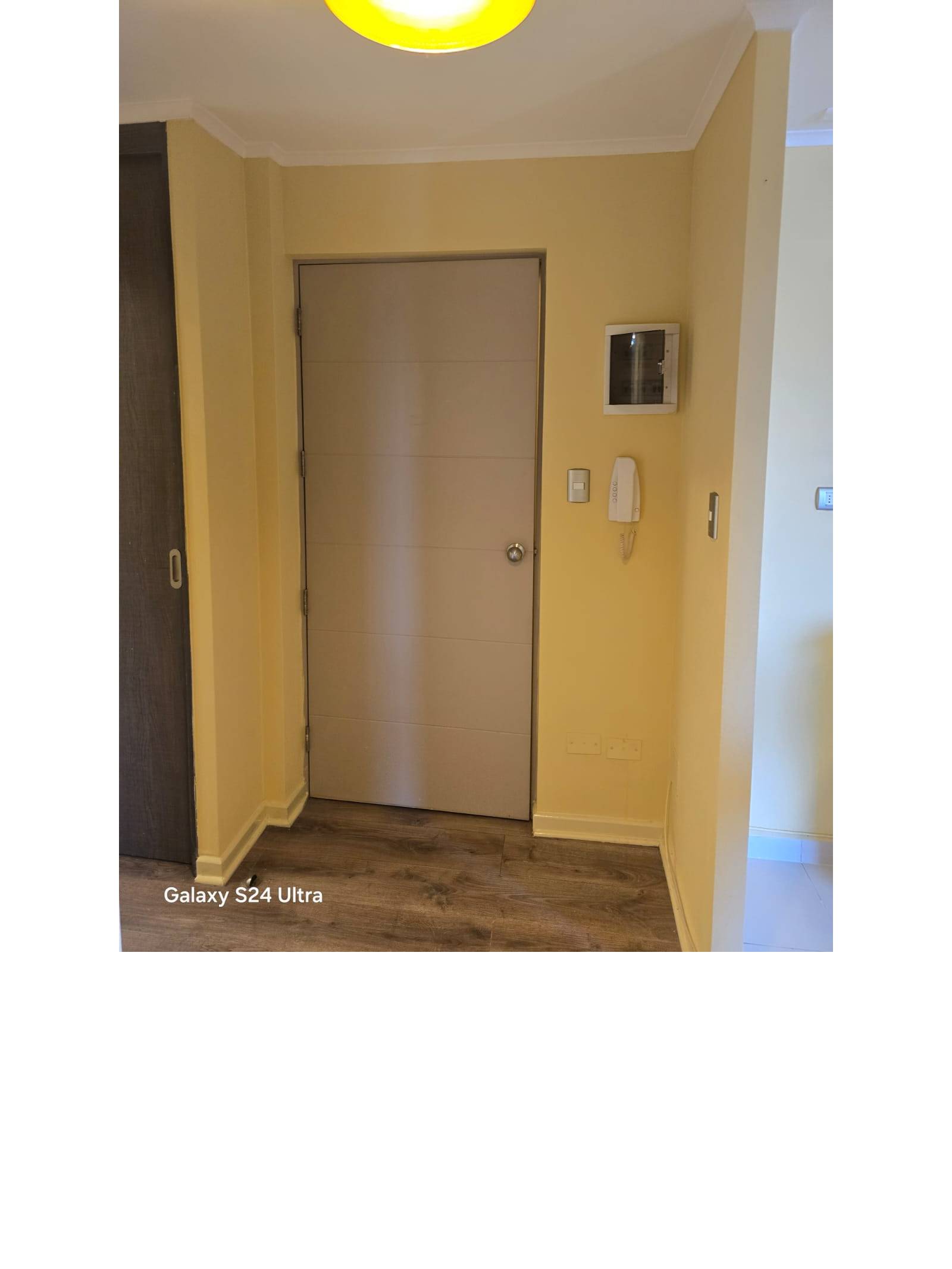 Puerta de entrada principal y citófono en hall de acceso