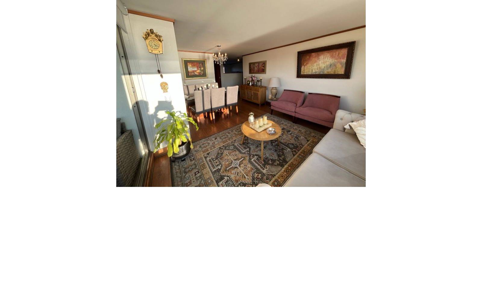 Amplio living comedor con alfombra estampada y decoración clásica