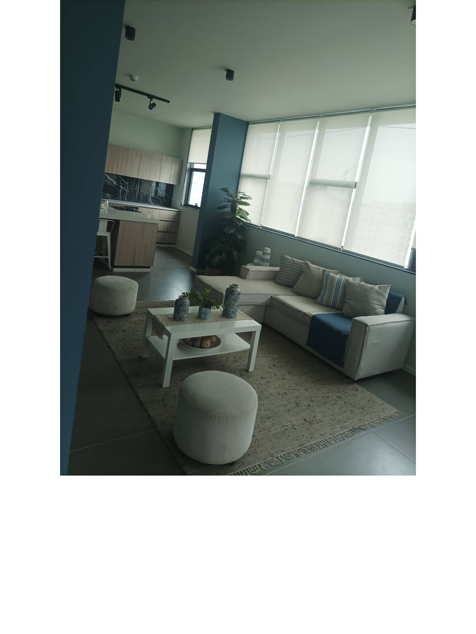 Sala multiuso amoblada con sofás, mesa de centro y grandes ventanales.