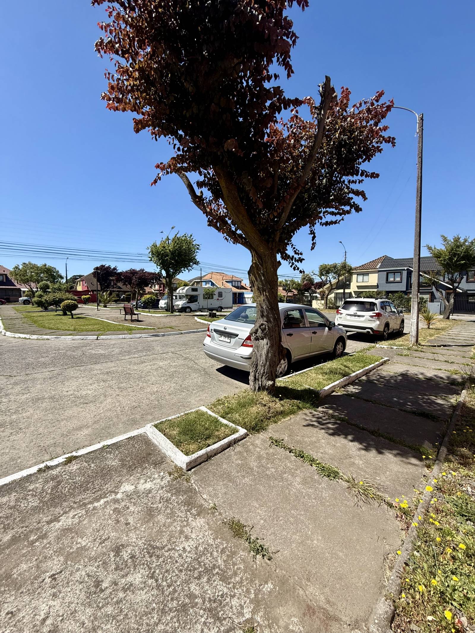 Calle residencial frente a la propiedad con árboles y vehículos