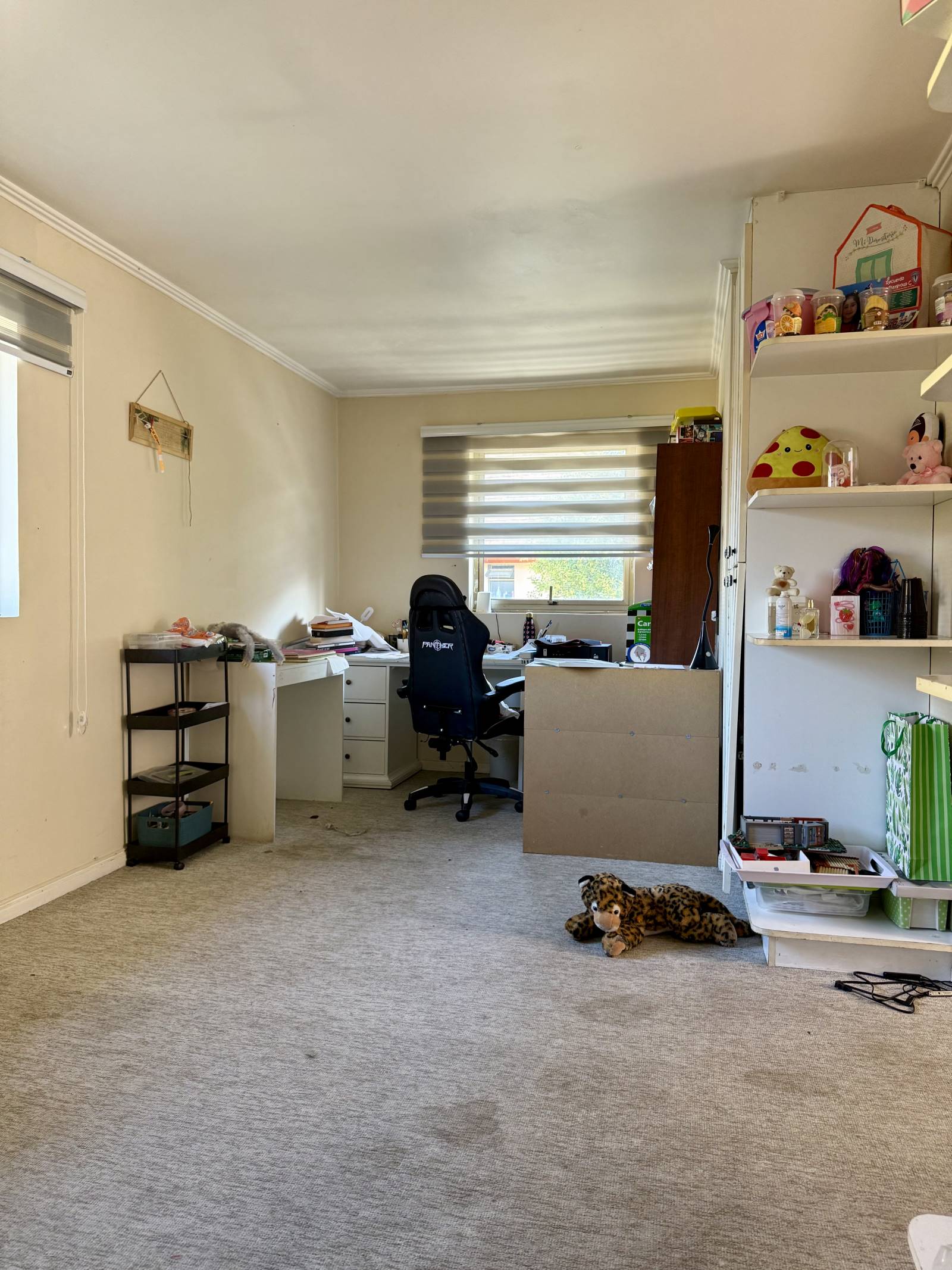 Dormitorio alfombrado con escritorio y estanterías.