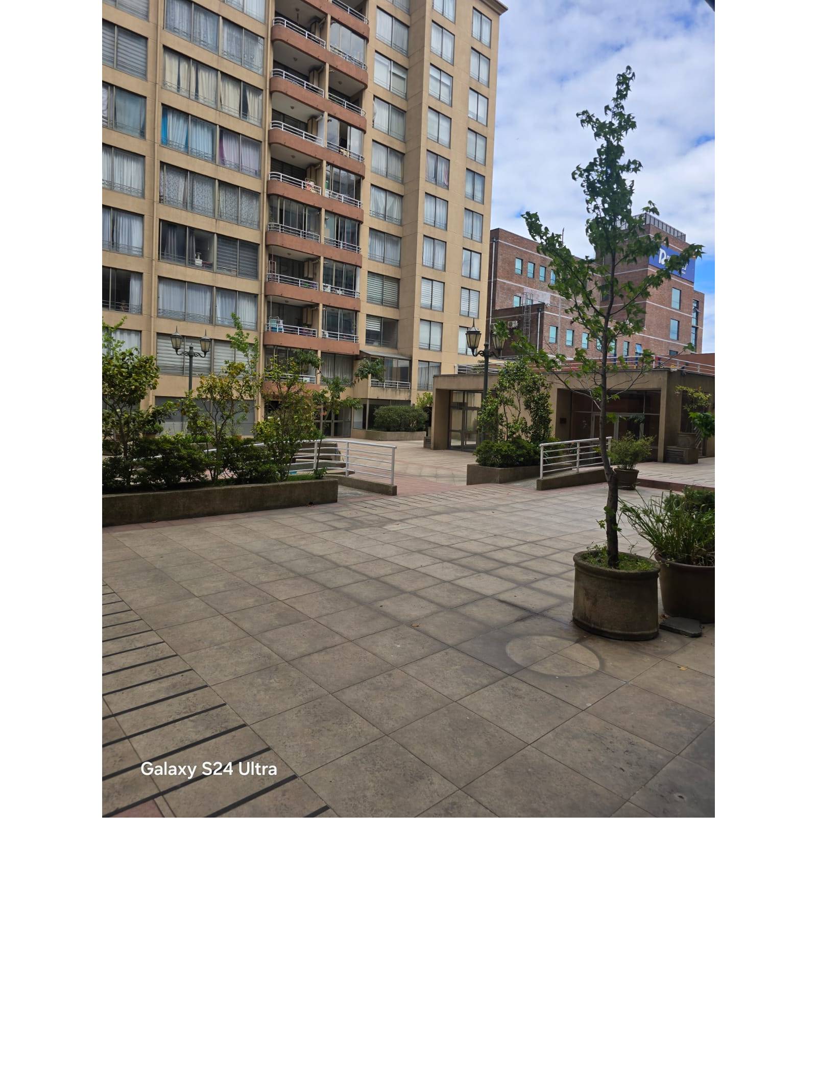 Plaza y patio interior comunitario del edificio con plantas