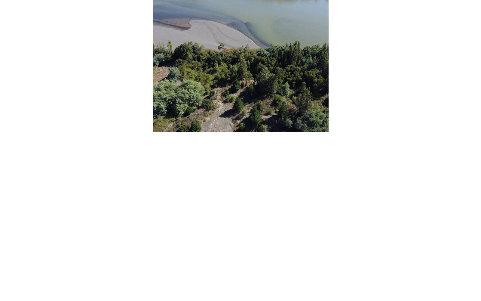 Costa del río y ribera boscosa desde altura.