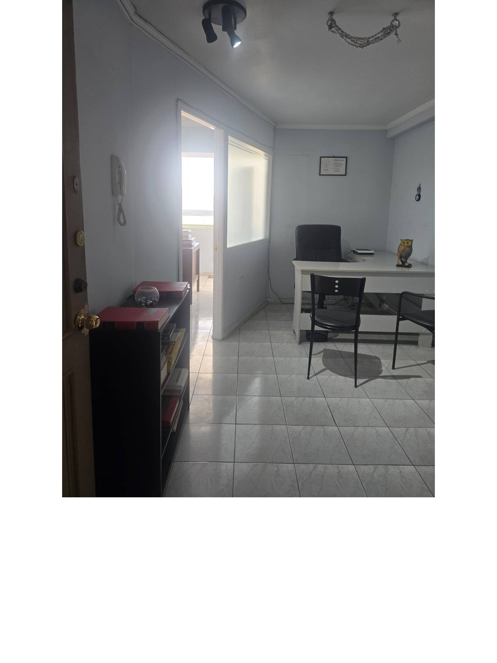 Recepción y sala de trabajo iluminada.