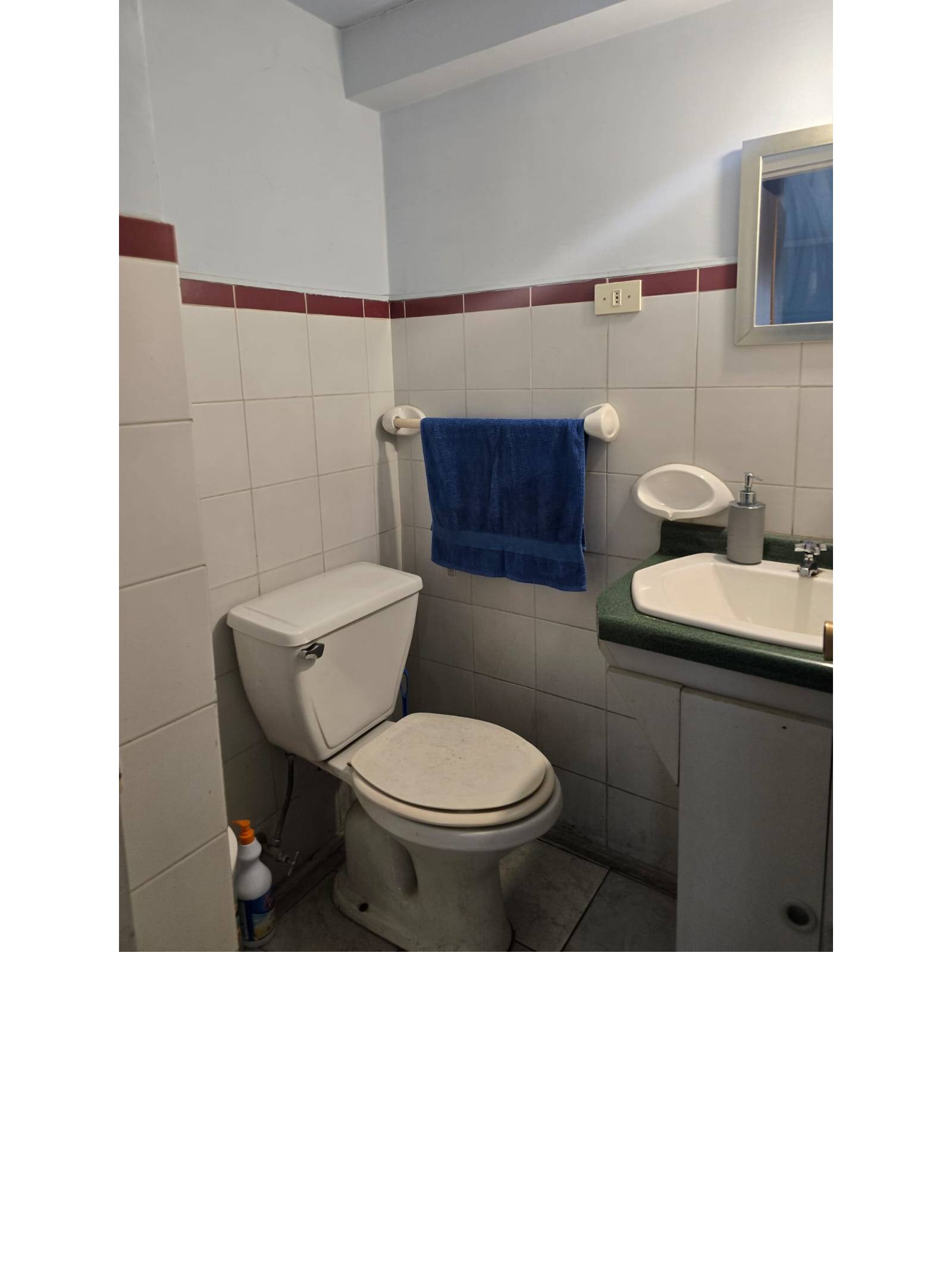 Baño con inodoro y lavamanos con espejo.