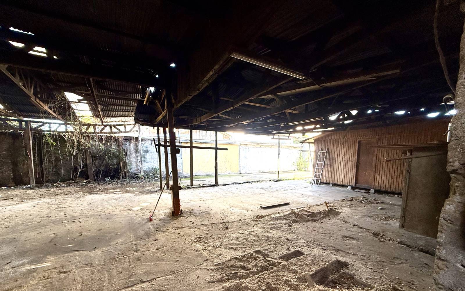Planta abierta bajo cubierta de vigas de madera.