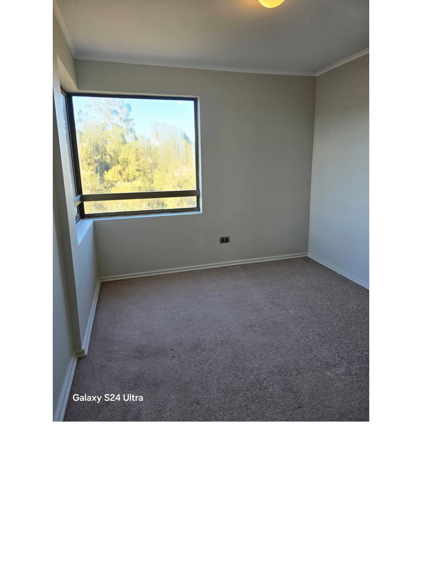 Dormitorio alfombrado con ventana amplia hacia áreas verdes
