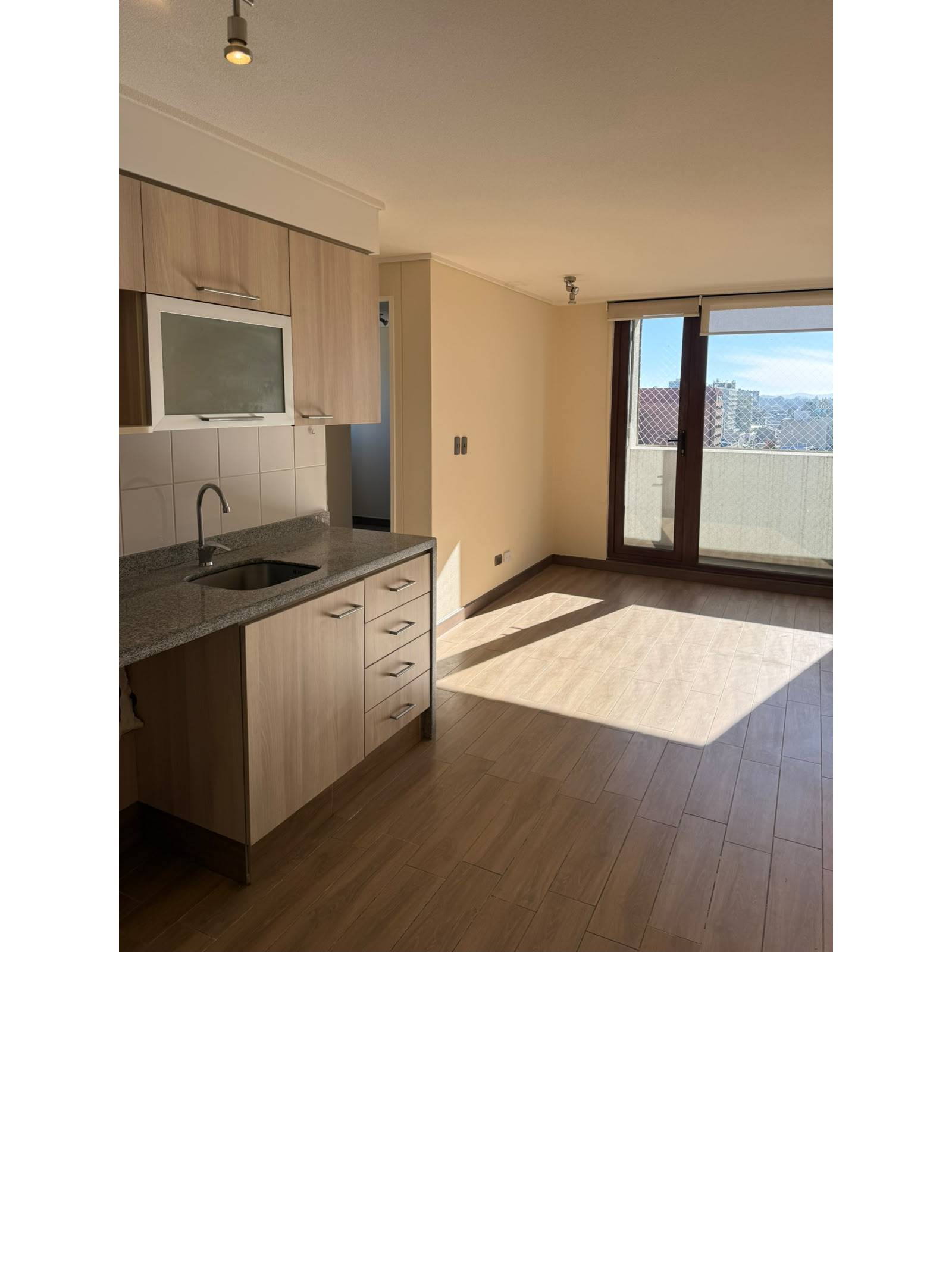 Mueble de cocina con lavaplatos y vista al living.