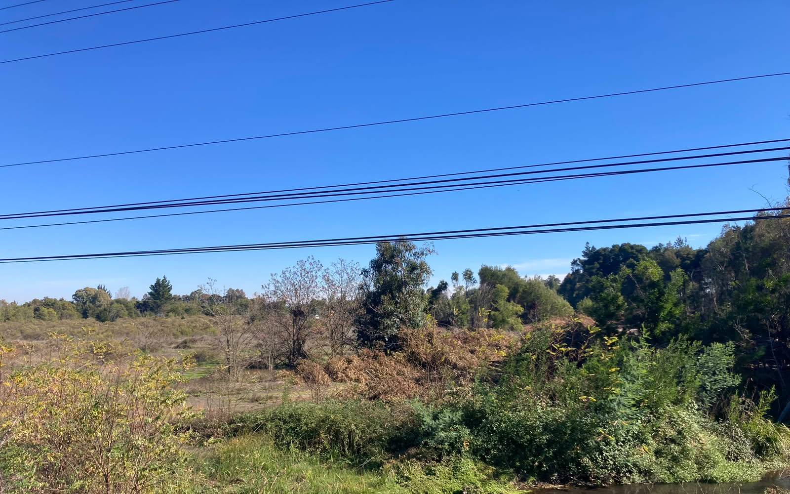 Vegetación densa y campo abierto bajo tendido eléctrico
