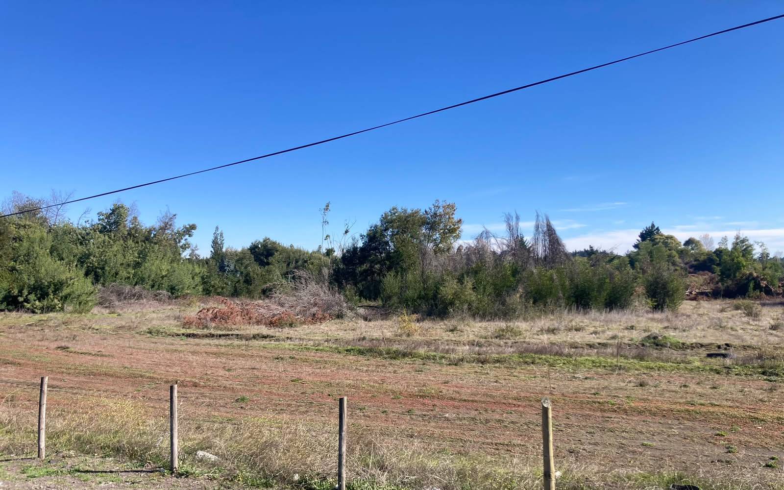 Campo despejado con arbustos y árboles al fondo