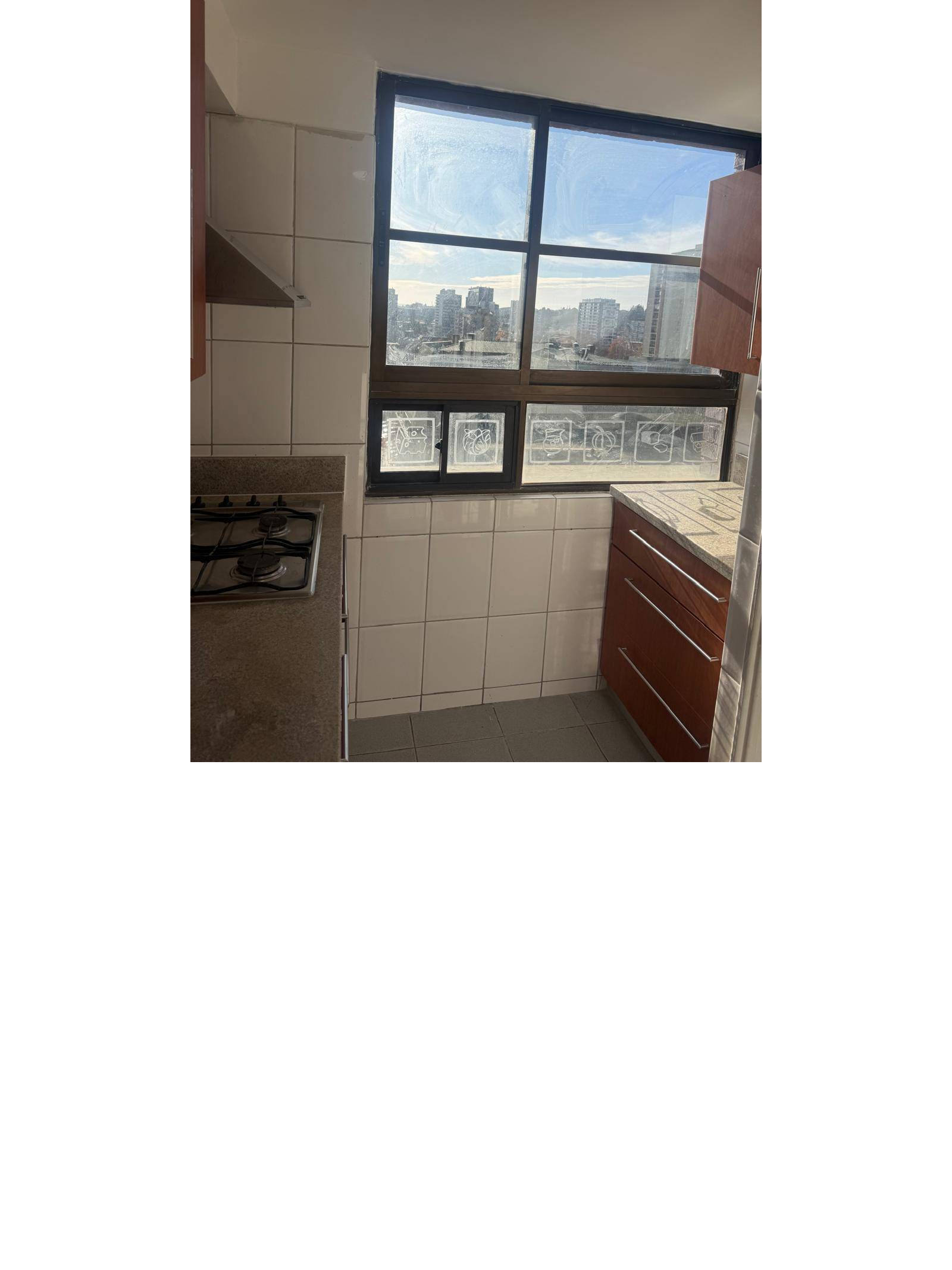 Ventanal de cocina con vista urbana despejada.