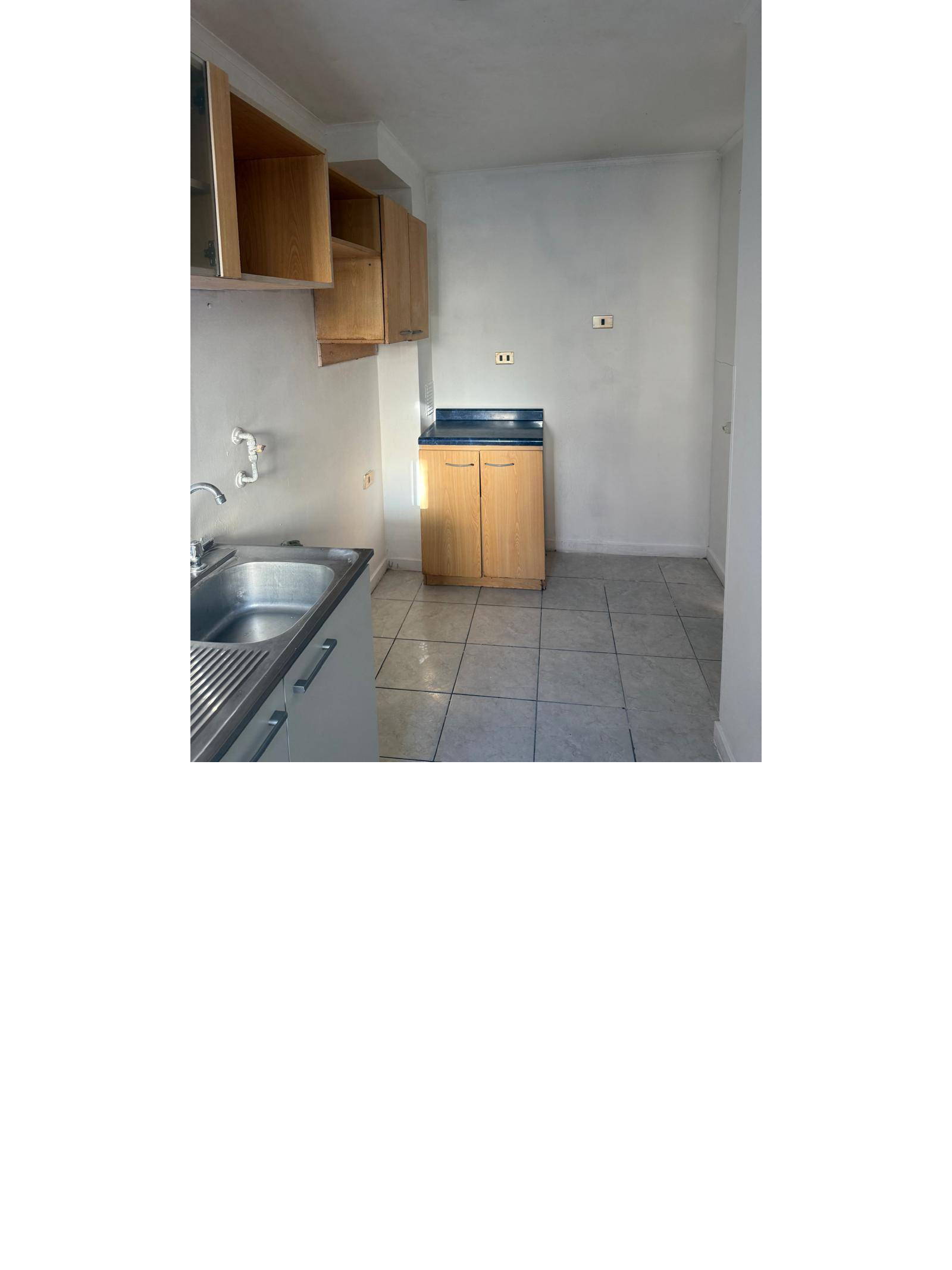 Cocina con lavaplatos y muebles de almacenamiento murales.