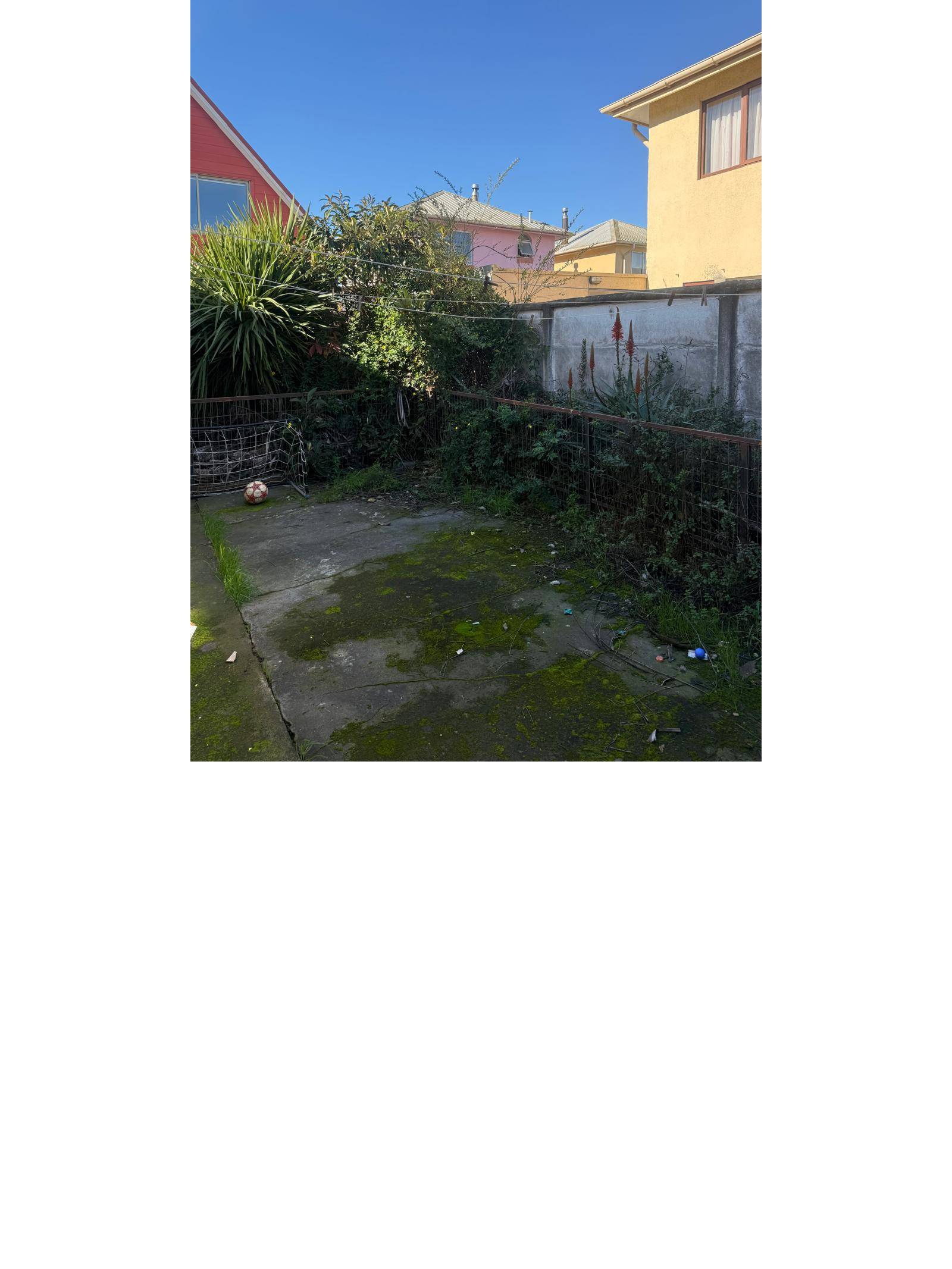 Patio trasero delimitado con vegetación y piso de cemento.