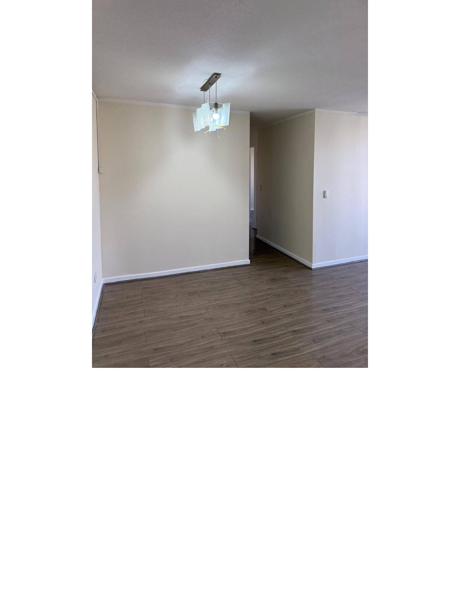 Espacio para comedor con lámpara moderna y piso flotante.