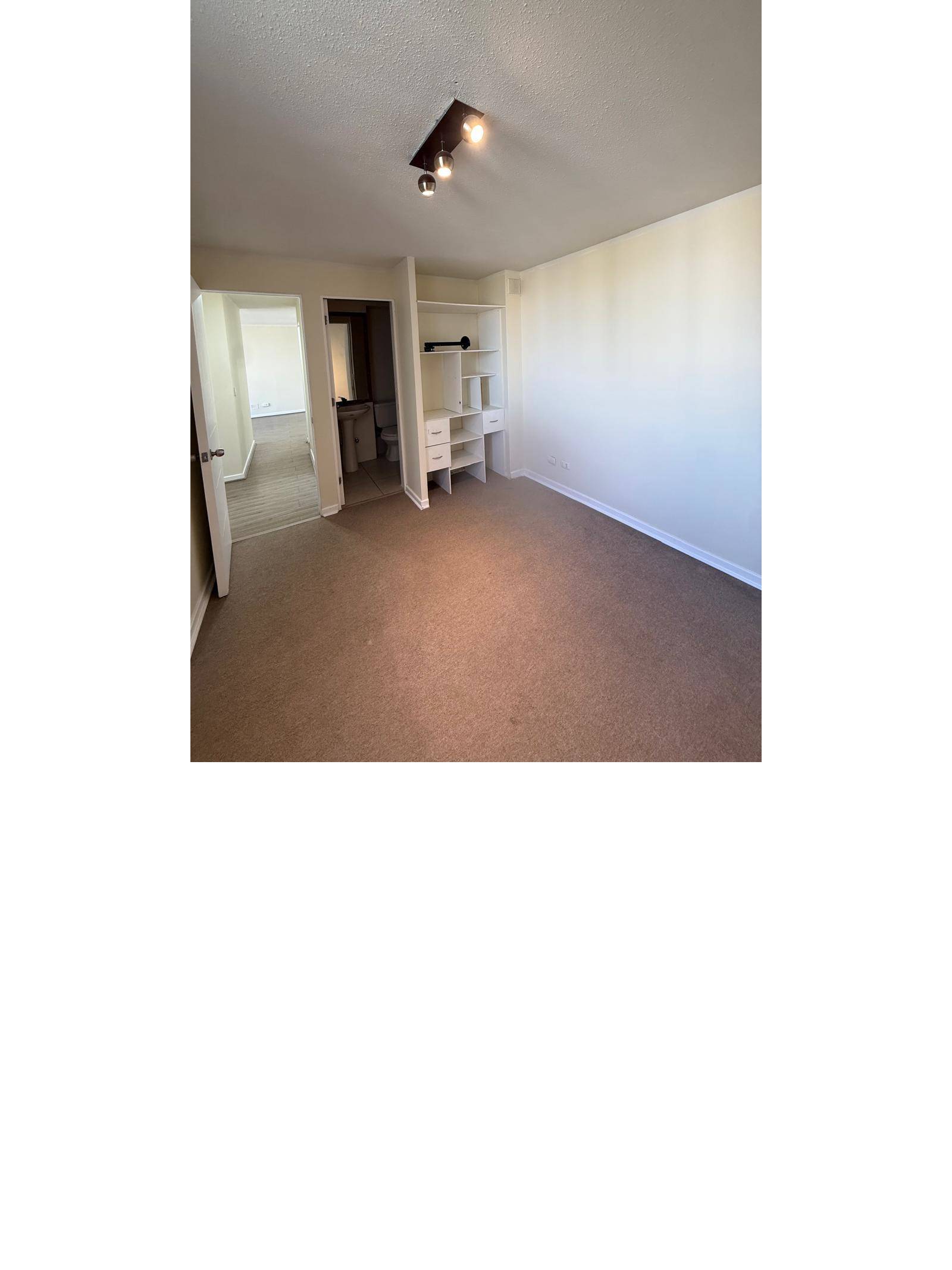 Dormitorio alfombrado con clóset integrado y acceso a baño.