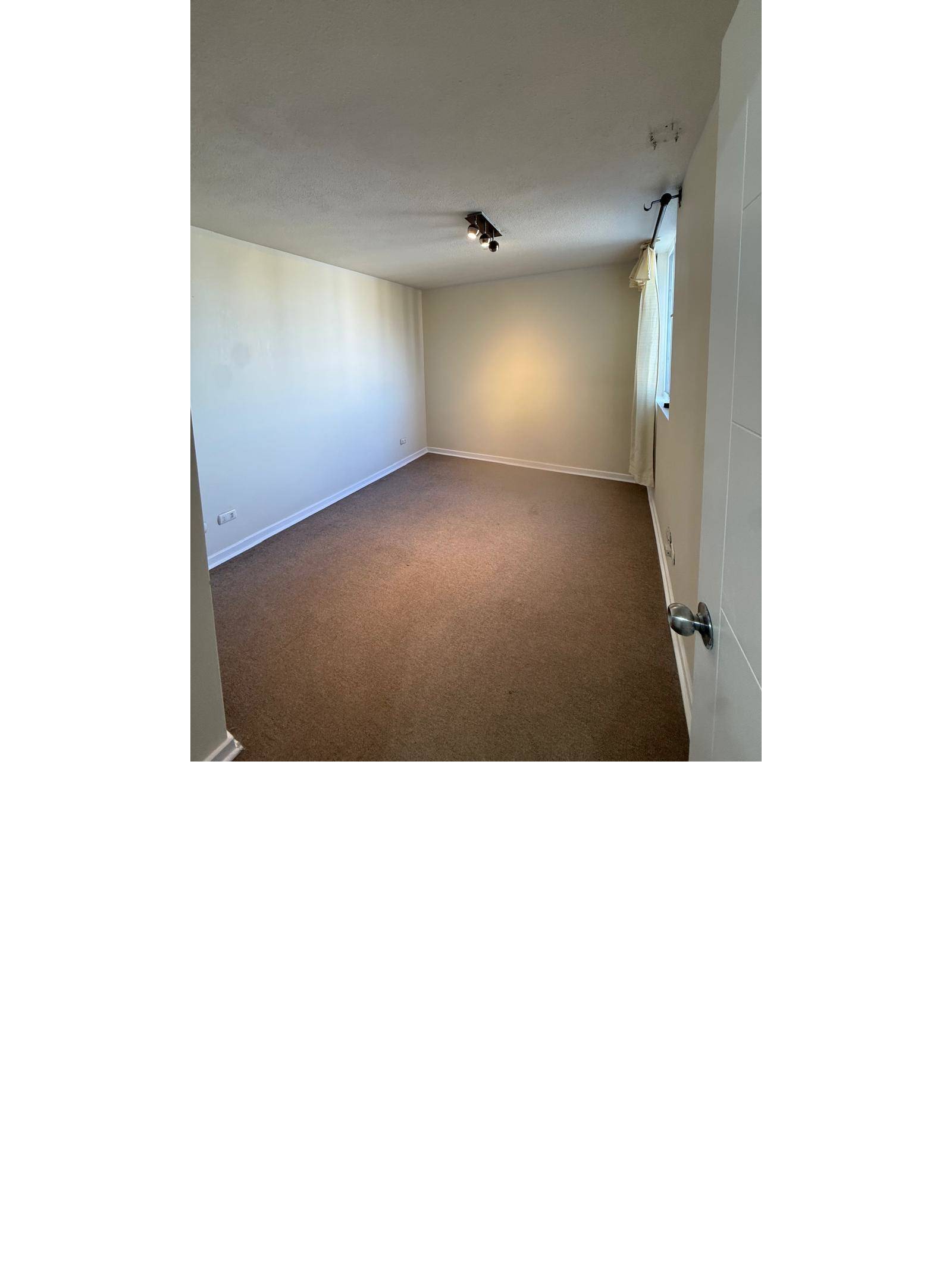 Habitación alfombrada con lámpara de techo y ventana.