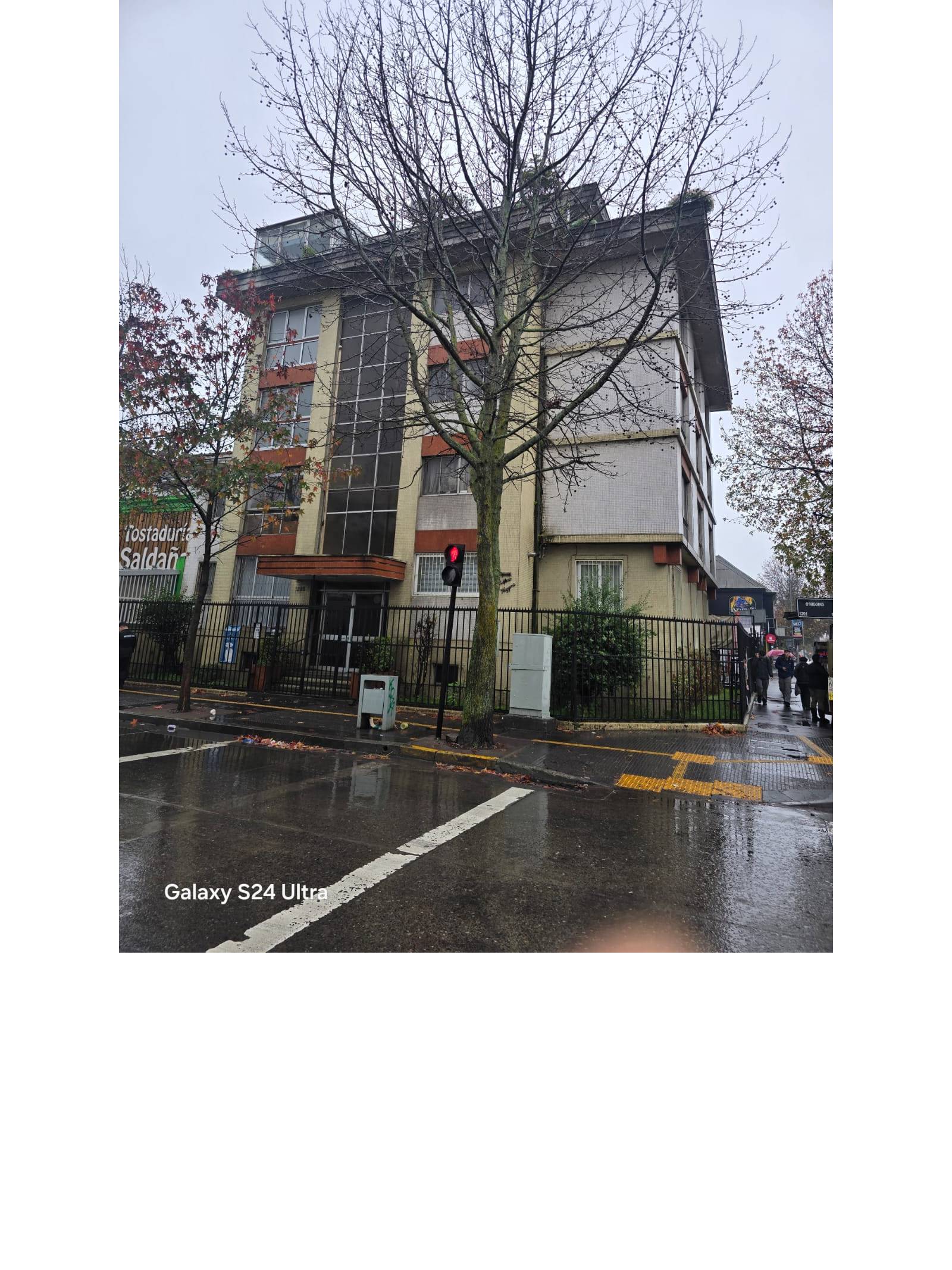 Vista frontal de edificio tapada por árbol