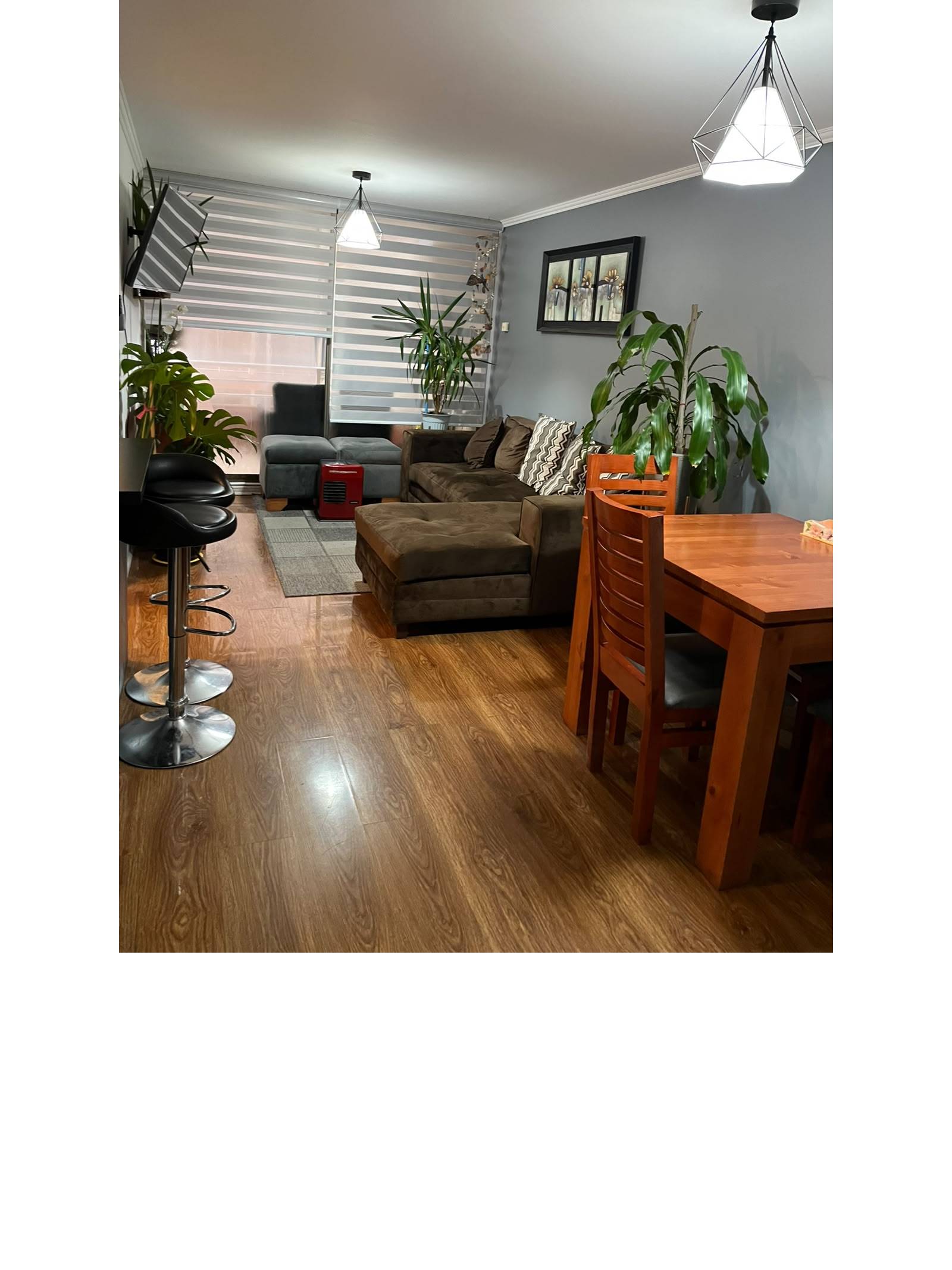 Living comedor integrado con piso flotante y plantas de interior