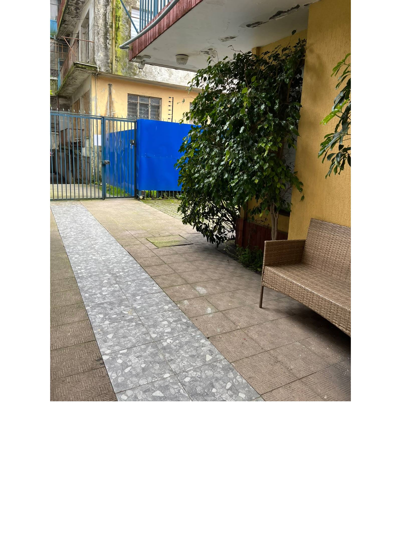 Patio lateral con plantas, sillón y reja.