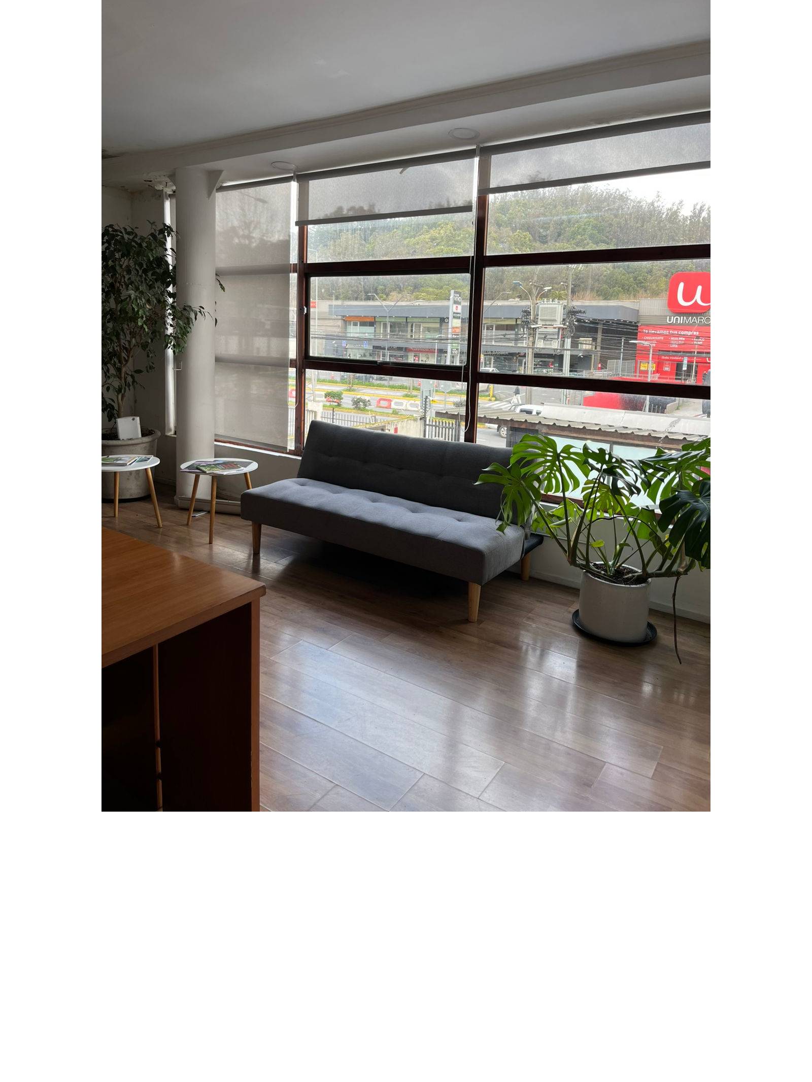 Sala de espera iluminada con ventanal amplio y sillón gris.