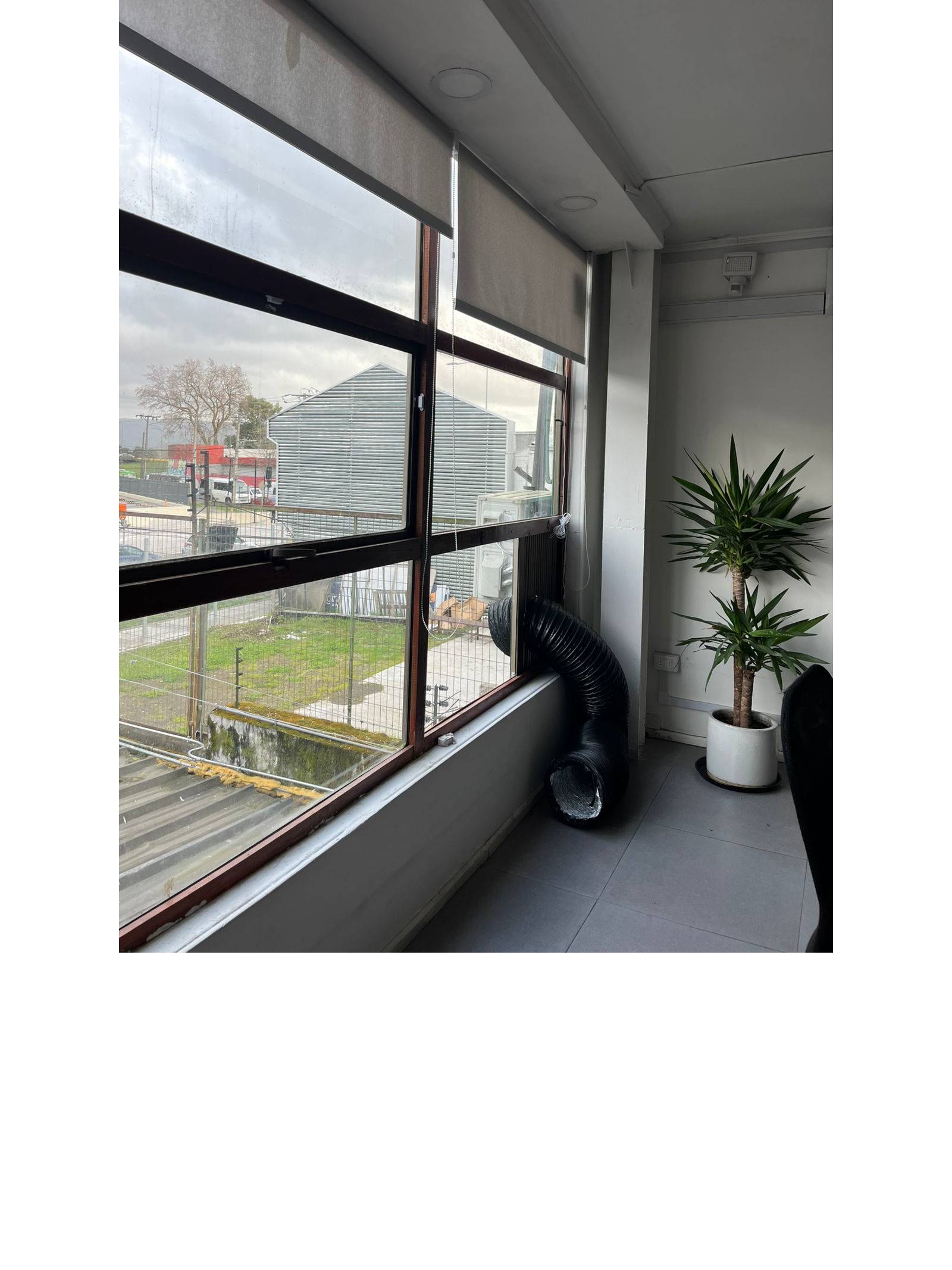 Rincón de oficina junto a ventana amplia y planta interior.