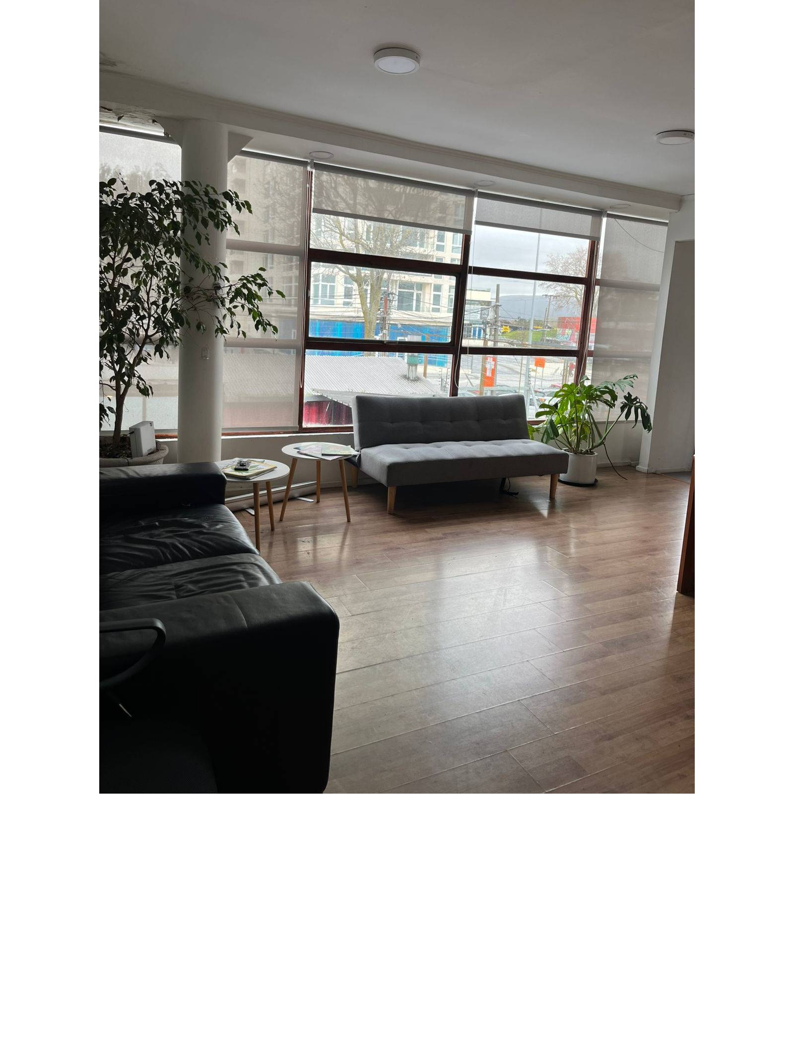 Espaciosa sala de recepción con sofás y ventanales con cortinas.