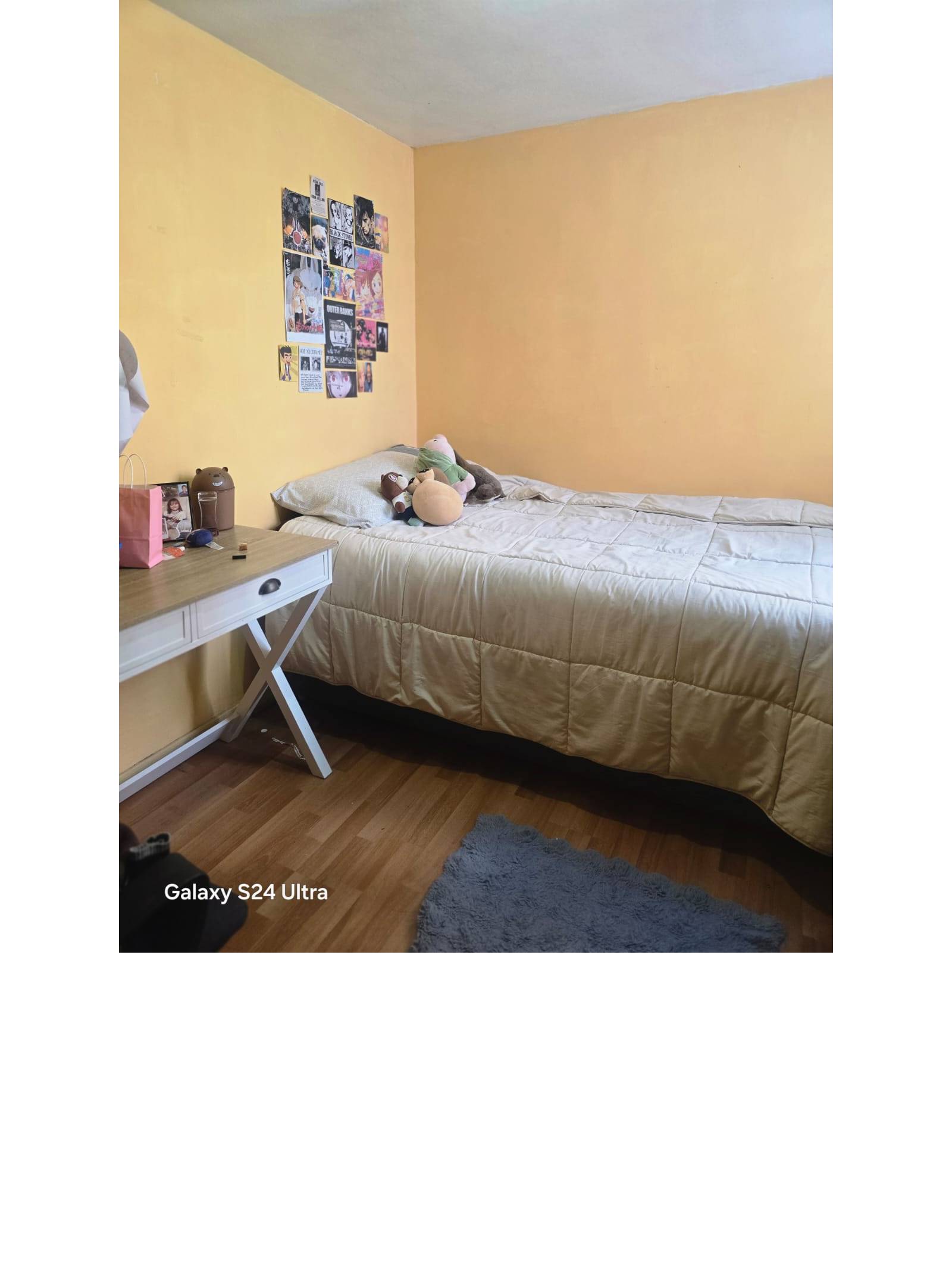 Dormitorio con cama individual y escritorio.