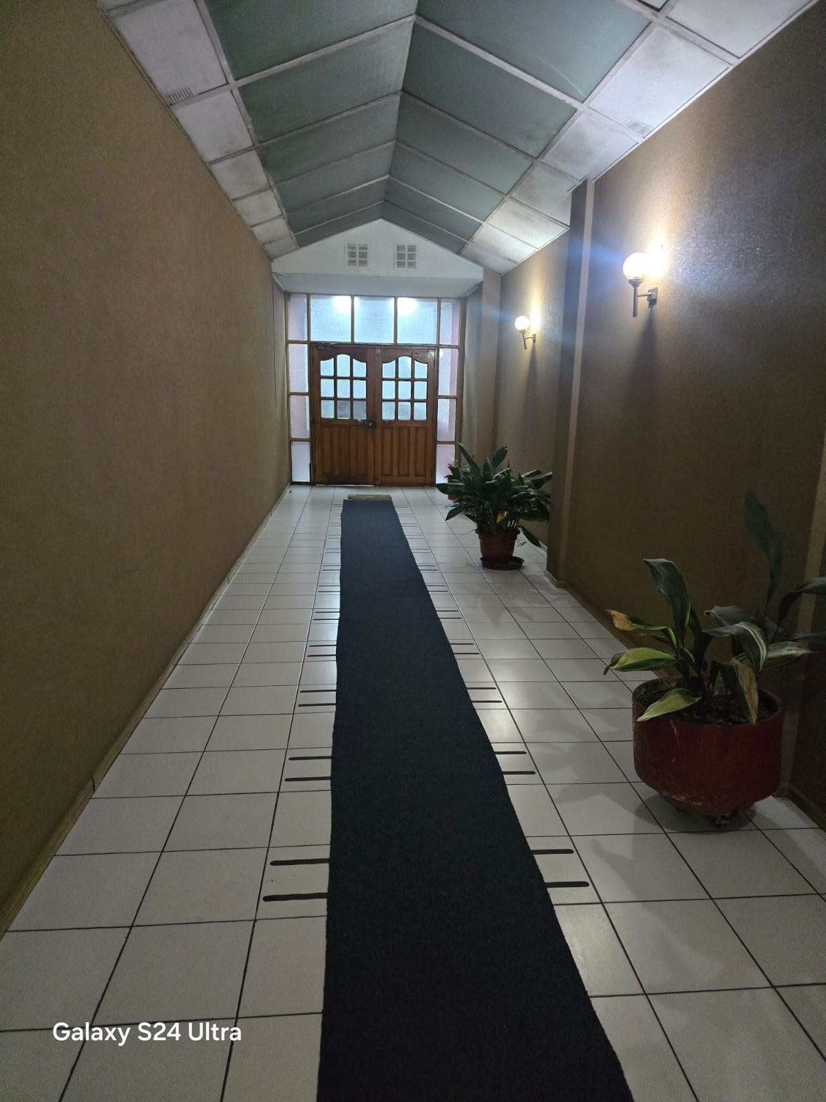 Pasillo de acceso con alfombra larga, plantas y techo traslúcido