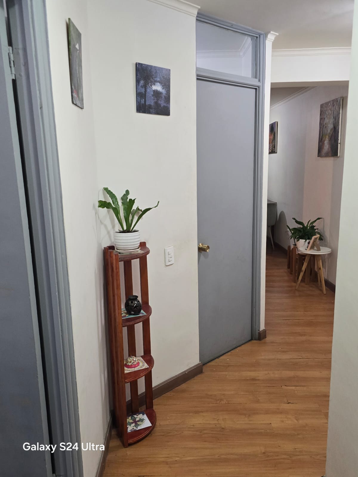 Pasillo interior de distribución con piso de madera y puertas grises