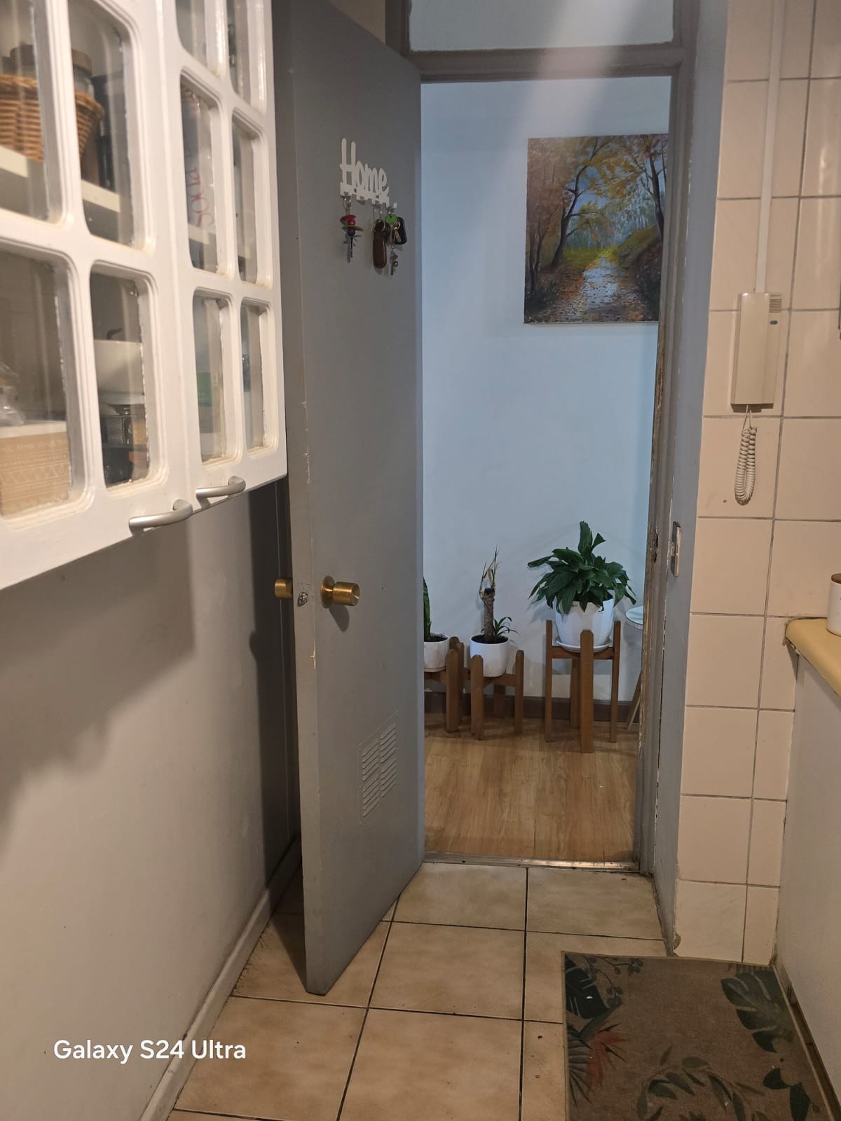 Mueble de cocina alto con vista hacia puerta abierta y plantas