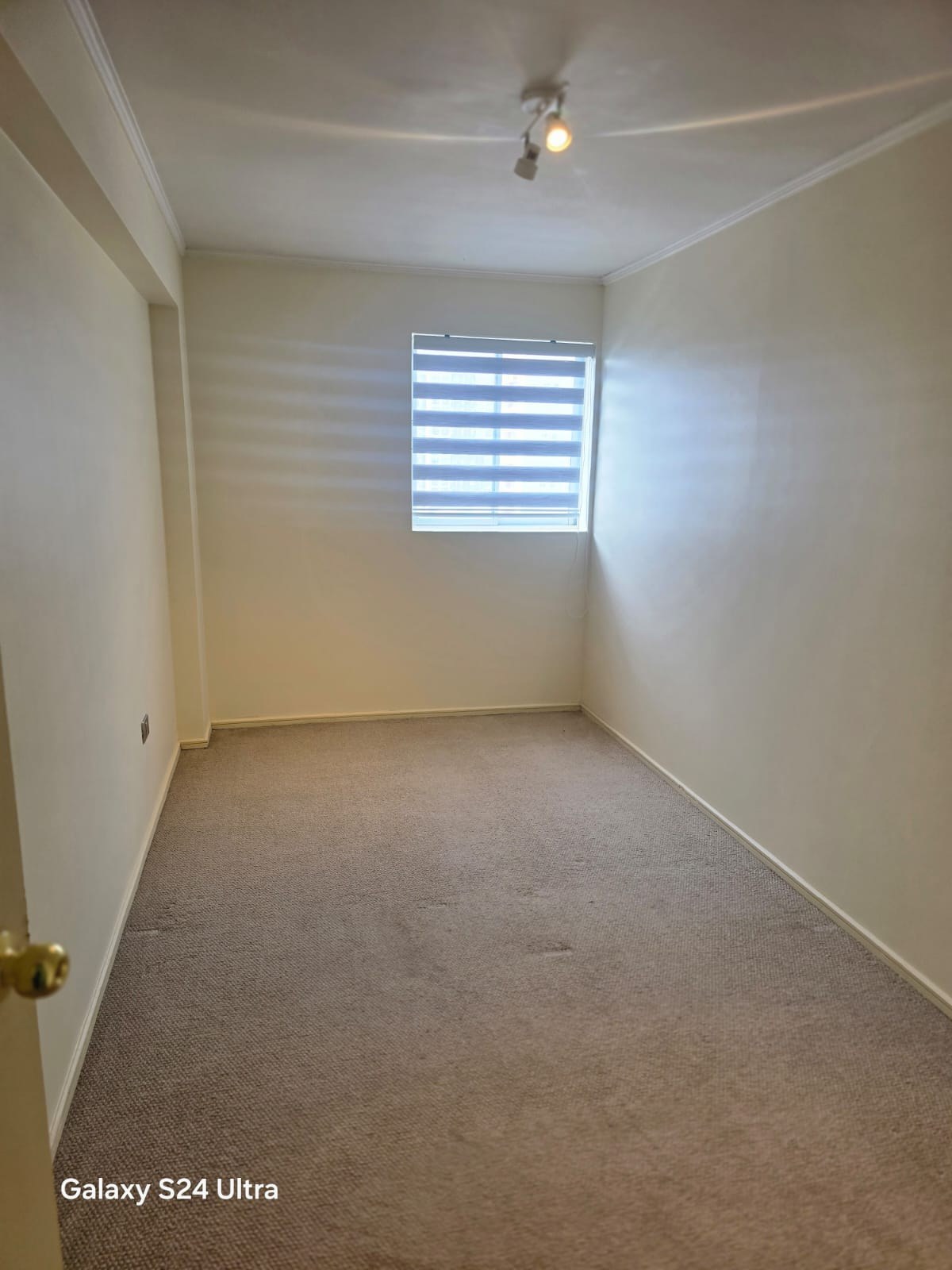 Segundo dormitorio alfombrado con ventana e iluminación natural